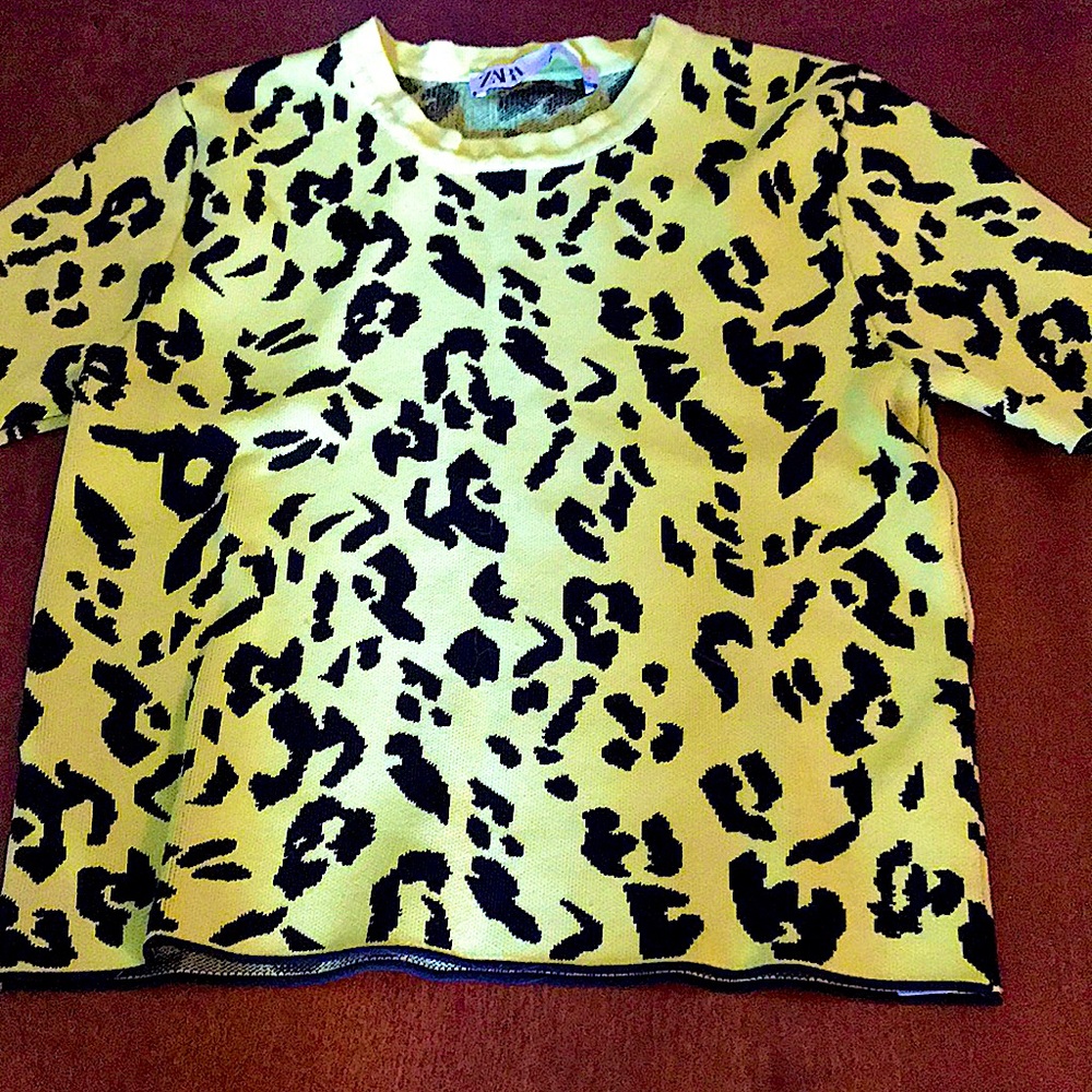 Zara Leopard print top
